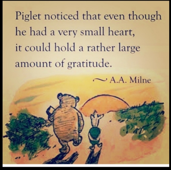 Lodenfrey  Exquisite EUROPEAN Vintage Brown Wool Austrian Jacket EUC Coat UNISEX - Picture 5 of 16